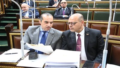 وزير العمل يشكُر المستشار محمود فوزي وزير المجالس النيابية والتواصل السياسي وفريق العمل على الجهود المُخلصة لسرعة إصدار قانون العمل 