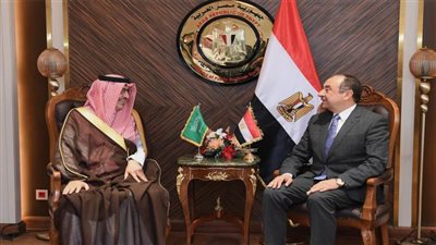 وزير قطاع الأعمال يلتقي سفير المملكة لدى مصر