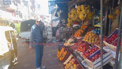 إزالة الإشغالات بسد خميس في كفر الشيخ