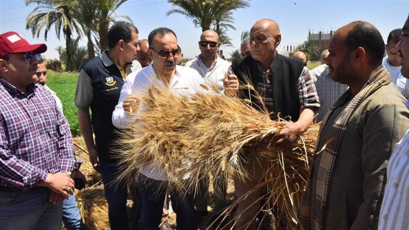 محافظ أسيوط يشهد