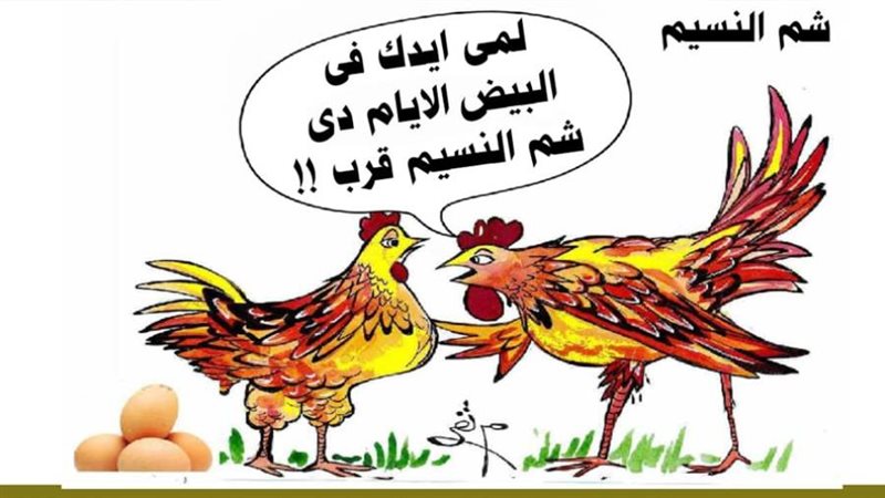 ريشة - ثروت مرتضى