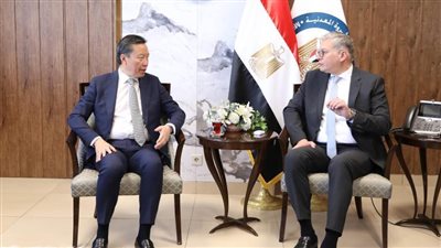 وزير البترول يلتقي نائب رئيس شركة بريتش بتروليوم 