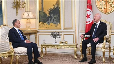 وزير الخارجية يسلم رسالة خطية من الرئيس السيسي إلى الرئيس التونسي
