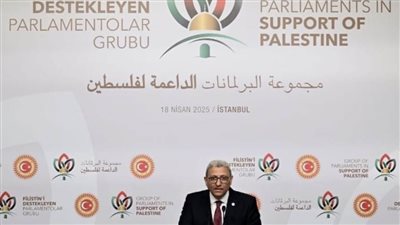 وكيل أول مجلس النواب يُشارك في الاجتماع الأول لمجموعة البرلمانات الداعمة لفلسطين