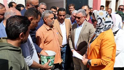 محافظ الإسماعيلية يتفقد صوامع القمح بـ