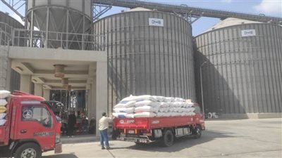 المواقع التخزينية بالشرقية تستقبل ٣٧٦٣ طنًا و٣١٤ كيلو جرامًا من الذهب الأصفر 