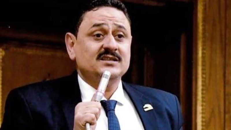 النائب محمد سيد ابو