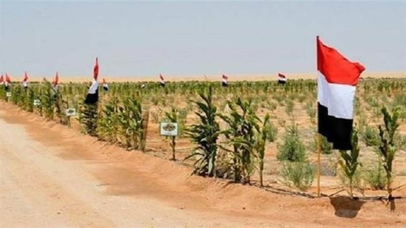 تنمية أرض الفيروز