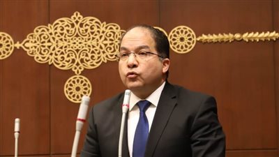 عضو مجلس الشيوخ: توجيهات الرئيس بشأن الجمارك خطوة تاريخية لتحفيز الاستثمار ودعم الصناعة