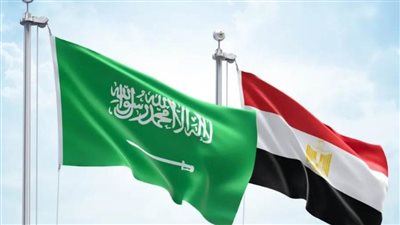 مصر والسعودية تؤكدان أهمية حل الدولتين ورفضهما القاطع لتهجير الفلسطينيين