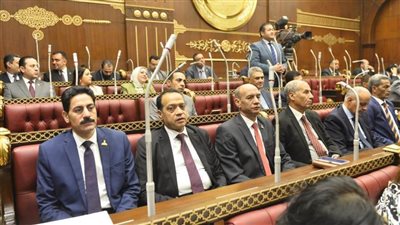 الشيوخ يناقش التحول الصناعي الأخضر بشركات قطاع الأعمال العام.. غدًا