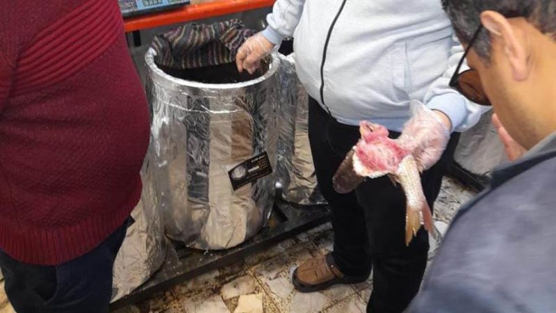 تموين الإسكندرية