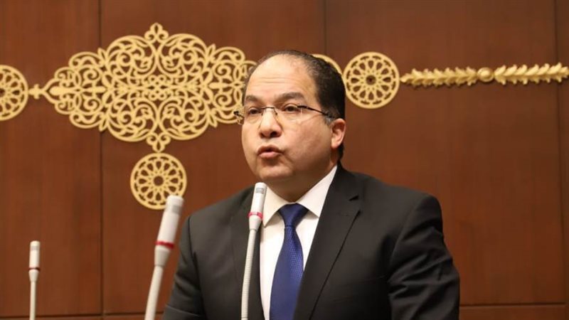 النائب عادل اللمعي