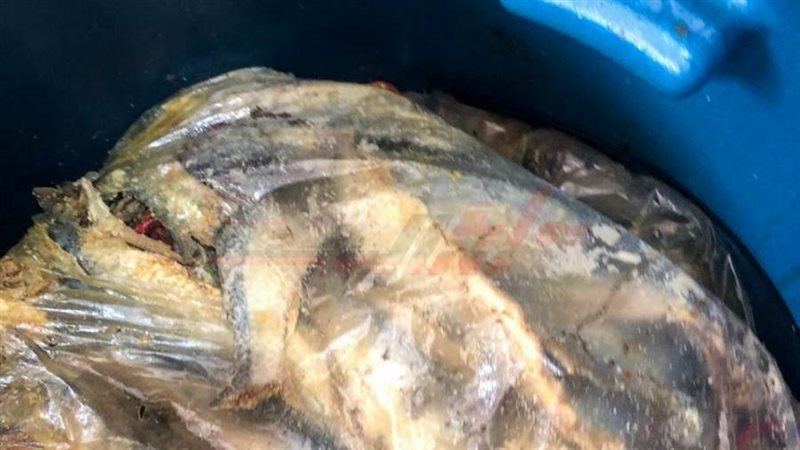 و مازالت الحملات