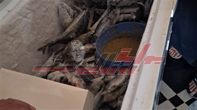 ضبط 300 كجم من الأسماك غير المطابقة للاشتراطات الصحية
