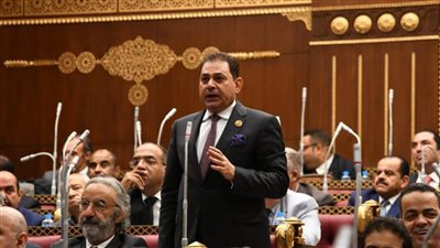 برلماني: الأمن الغذائي قضية «أمن قومي» ويجب بناء منظومة زراعية صناعية متكاملة لمواجهة التحديات