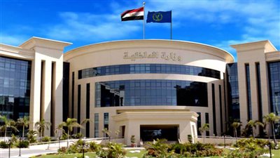 في لفتة إنسانية.. الأجهزة الأمنية بالقاهرة تنجح في إعادة طفلة من ذوي الهمم لأهليتها