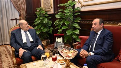 رئيس مجلس الشيوخ يستقبل وزير قطاع الأعمال العام