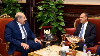 وزير الخارجية يؤكد حرص الوزارة على المشاركة في جلسات لجان مجلس الشيوخ