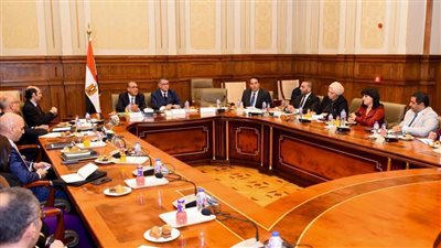 وزير الخارجية يلتقى مع لجنة حقوق الإنسان بمجلس النواب