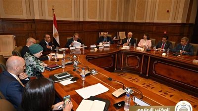 وزيرا الخارجية والشؤون النيابية يحضران اجتماع لجنة حقوق الإنسان بمجلس الشيوخ بشأن قضايا حقوق الإنسان في مصر