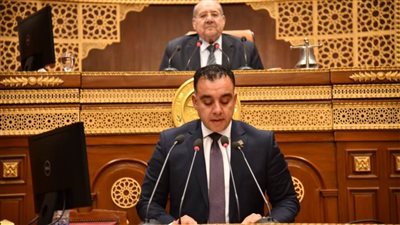 مجلس الشيوخ  يناقش دراسة بشأن الأمن الغذائي في مصر.. التحديات والفرص في 2025