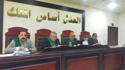 جنايات دمنهور تقضي بحبس نجل الفنان عبدالعزيز مخيون وغرامة مالية