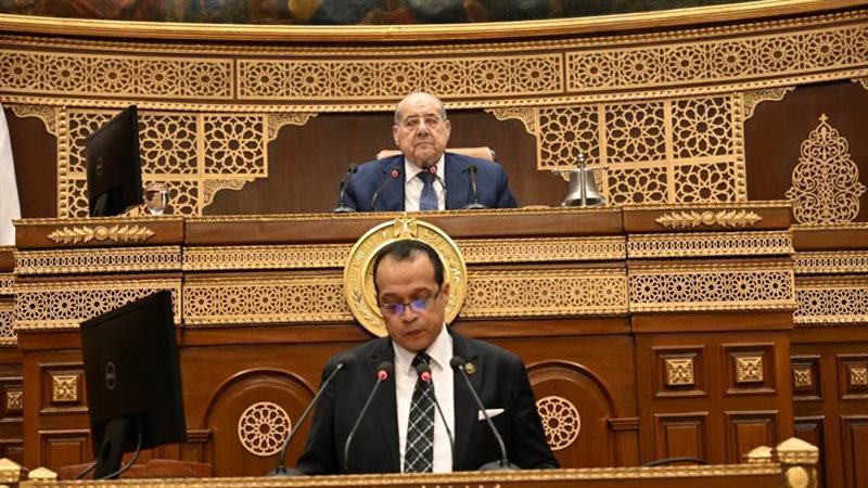 النائب خالد أبو الوفا