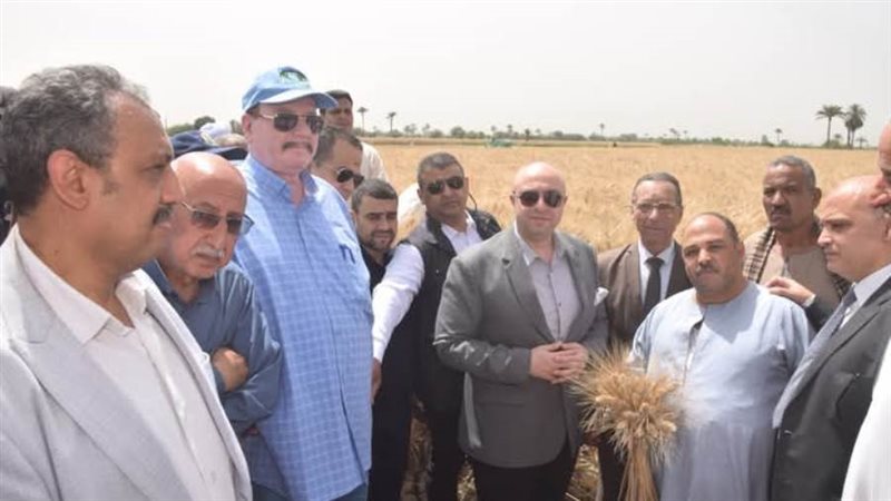 جانب من الحصاد