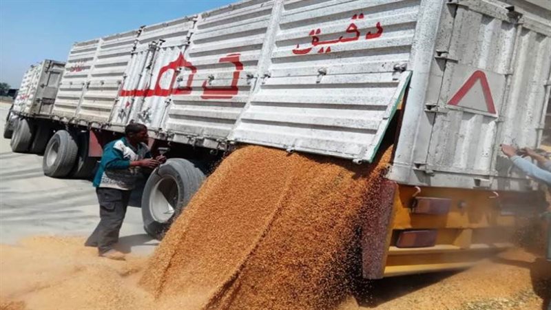 نوريد القمح بالصوامع