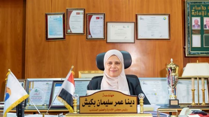 المهندسة دينا سليمان