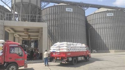 مواقع التخزين بالشرقية تستقبل ٢٠٩٧٤ طنا من القمح