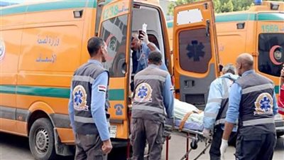 وفاة طبيب وإصابة أسرته بالكامل بإصابات بالغة في انقلاب سيارتهم بالإسماعيلية