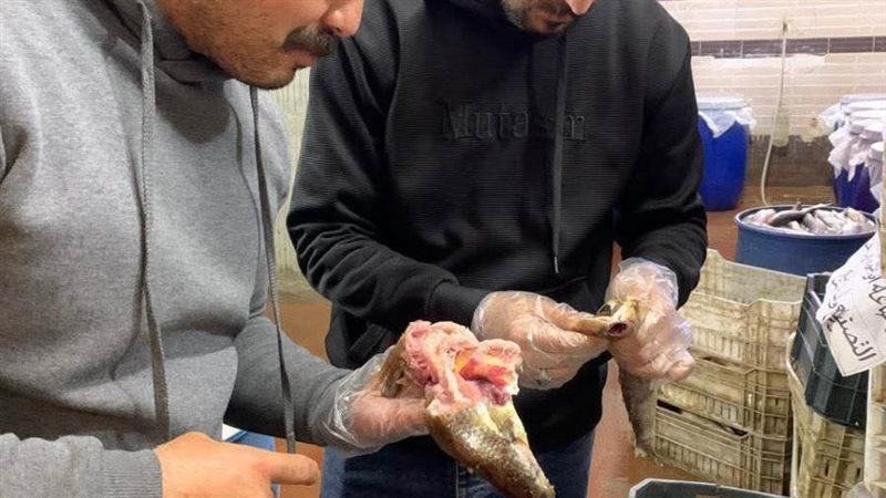 حملات سلامة الغذاء