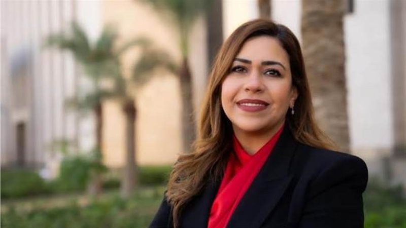 مي فريد المدير التنفيذي