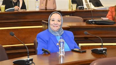 النائبة حياة خطاب: مصر نموذج رائد في تحقيق الاستقرار الأمني والاقتصادي رغم التحديات الإقليمية والدولية