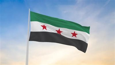 الرئاسة السورية تؤكد رفضها أي محاولات لتقسيم البلاد