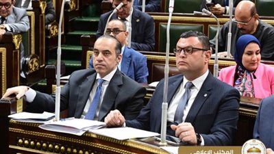 وزير الشؤون النيابية: مشروع قانون الرقم القومي الموحد للعقارات لن يفرض أعباء على المواطنين