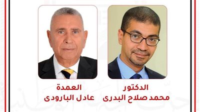 الجبهة الوطنية يستكمل أمناء محافظات الصعيد: البدري للمنيا والبارودي لأسيوط 