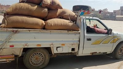 محافظ المنيا: توريد 77 ألف طن من القمح للشون والصوامع ضمن موسم الحصاد 
