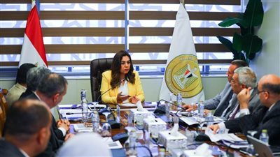 وزيرة التنمية المحلية تتابع مع القيادات الموقف التنفيذي لمشروعات الخطة الاستثمارية للوزارة والمحافظات