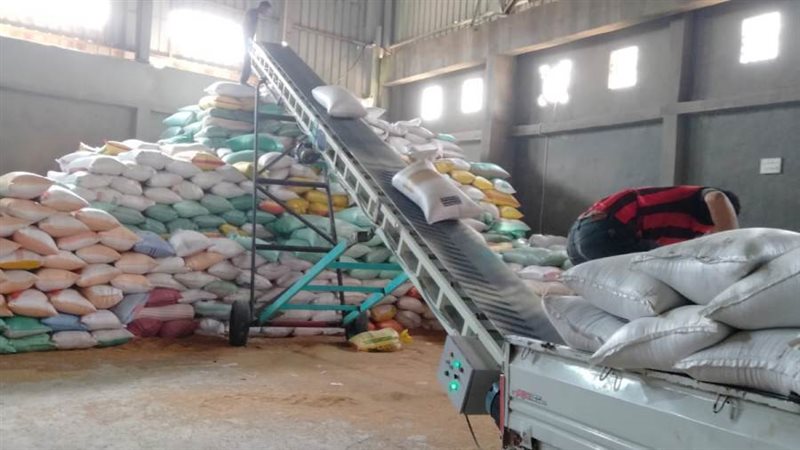 توريد القمح بالبحيرة