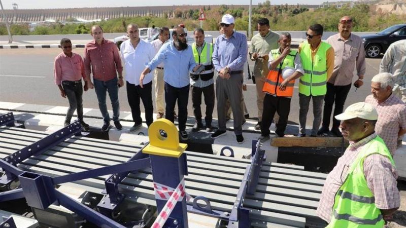 الدكتور إسماعيل كمال