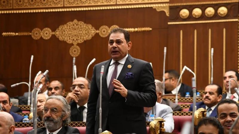 النائب فرج فتحي