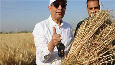 المنيا تواجه مافيا الأسمدة المدعمة واسترداد 7 ملايين جنيه ورفع 14 دعوى قضائية ضد المتورطين 