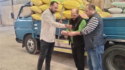 مطابق للشروط .. شون وصوامع البحيرة تستقبل 2195 طن قمح محلي 