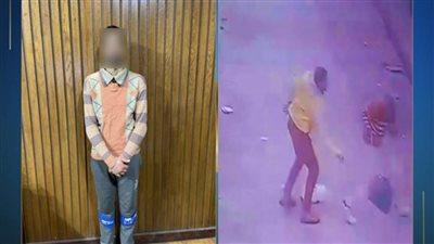 كشف ملابسات فيديو لمتعد على جاره بسلاح أبيض بالإسكندرية