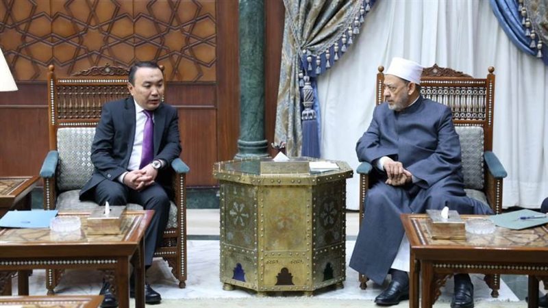 شيخ الأزهر يستقبل