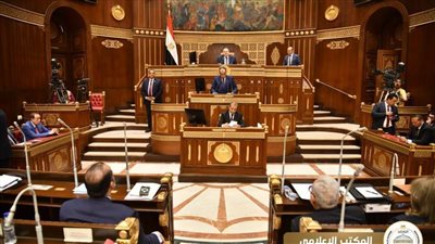 بدء جلسة الشيوخ لمناقشة طلبات بشأن ملفى الأمن السيبراني وتجديد الخطاب الديني