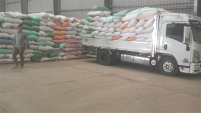 وسط إقبال متزايد من المزارعين.. توريد أكثر من 38 ألف طن قمح مطابق للمواصفات بالبحيرة 